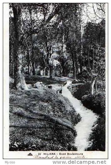 MILIANA Oued Boutektoune