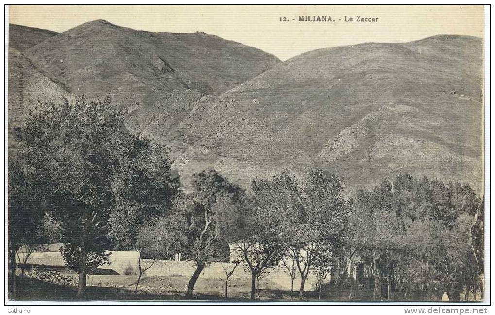 ALGERIE . MILIANA  LE  ZACCAR