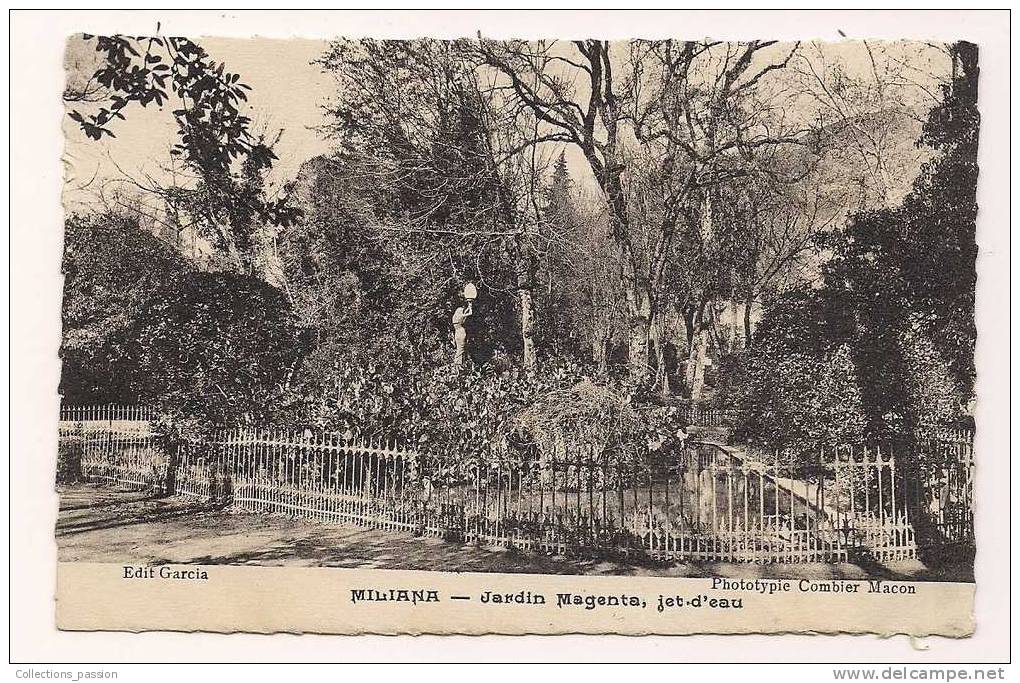 cp , ALGERIE , MILIANA , jardin Magenta , jet-d'eau , vierge