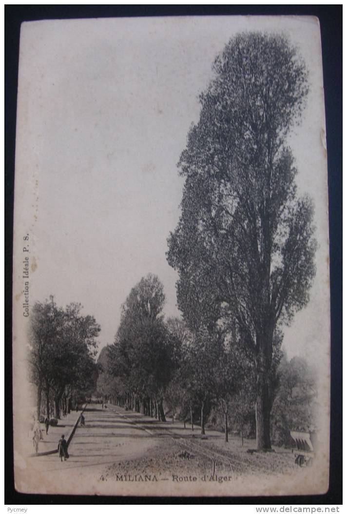 CPA MILIANA - Route d'Alger