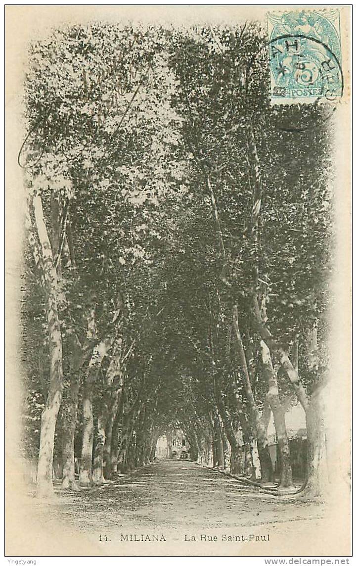 ALGERIE.MILIANA.LA RUE SAINT PAUL