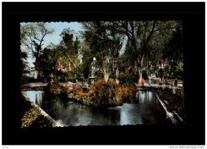 ALGERIE - MILIANA - 20 - Jardin Magenta