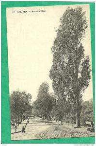 MILIANA ROUTE D ALGER N° 22