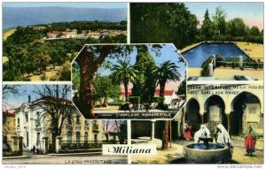 MILIANA...5 VUES.....CPSM PETIT FORMAT