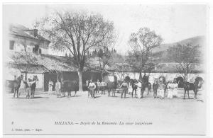 ALGERIE )) MILIANA ) Dépot de la Remonte . La cour intérieure   J Geiser édit N° 8