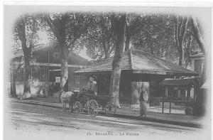 ALGERIE )) MILIANA ) Le marché, N° 15; ANIMEE