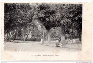MILIANA   Entrée du jardin public  N° 17