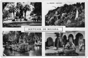 ALGERIE MILIANA - Souvenir Multivues