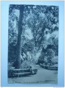 MILIANA    Un coin du jardin public