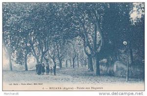 ALGERIE.MILIANA.POINTE AUX BLAGUEURS