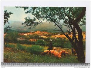 ALGERIE --  MILIANA--VUE GENERALE  ----RECTO / VERSO-------b7