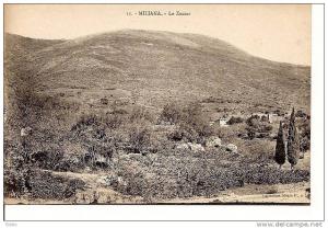 - Algérie - MILIANA - le Zaccar - carte neuve TTB