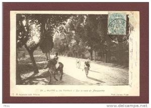 ALGERIE - MILIANA - LES ALENTOURS - ROUTE DE MARGUERITTE - CLICHE 1900 - BEAU PLAN ANIME
