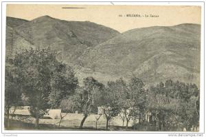 ALGERIE  - MILIANA  N° 12  - le  ZACCAR
