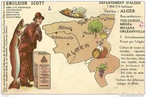 cp Afrique Algerie pub EMULSION SCOTT   ALGER  Tizi Ouzou Medea Miliana Orléansville ( oranges de blida , vignobles )