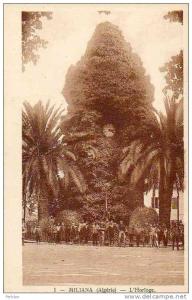 AFRIQUE. ALGERIE. MILIANA. Vue sur L´Horloge.