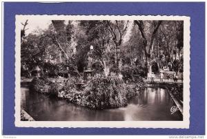 y1089)  MILIANA jardin magenta  ( TTB état)