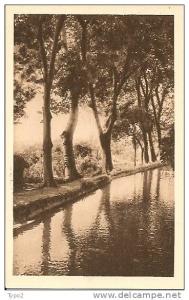 ALGERIE - MILIANA - Belles sources TB