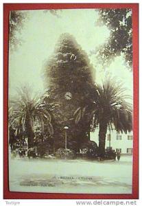 ALGERIE - MILIANA - L' Horloge