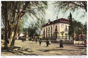 569 - MILIANA - RUE COLBERT ET SOUS-PREFECTURE - CPSM PETIT FORMAT