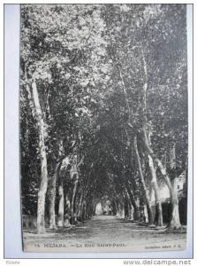 Miliana 14 la rue St Paul