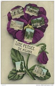 ALGERIE - MILIANA - Une Pensée de ... - Fantaisie