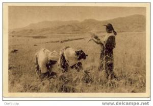 ALGER  MILIANA   Moissonneurs  CP de 1939 pour Oran cachet du Vaguemestre du 9 eme Régiment de Tirailleurs