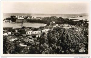 CPSM - ALGERIE   DJIDJELLI - 1 - Vue générale et la Citadelle