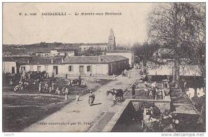 Algérie - Djidjelli - Marché aux Bestiaux
