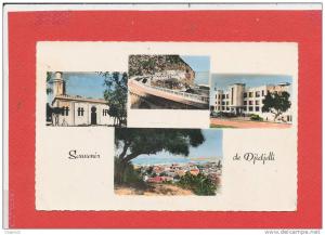 DJIDJELLI cpsm Multivues        79 Real Photo