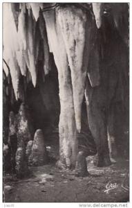 ALGERIE  -  DJIDJELLI  -  Grotte Merveilleuse de Dar-El-Oued  -  L´Eléphant  -