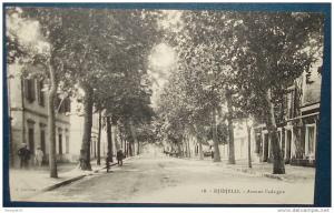 DJIDJELLI.Avenue Cadaigne.Cpa (carnet),voyagé,be,animée