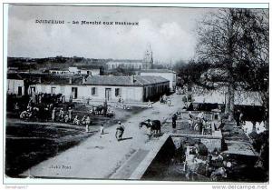 CPA ETRANGERE 39 ALGERIE DJIDJELLI Un marché aux bestiaux