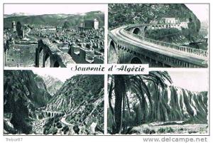 SOUVENIR D´ ALGÉRIE - 4 vues d´ Algérie dép. de Constantine - Djemila - Kerrata - Bougie - Djidjelli