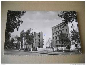 CPSM ALGERIE DJIDJELLI Avenue Gardaigne