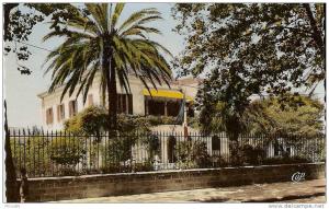 ALGERIE  DJIDJELLi  la sous prefecture ............. Lot N......... 51