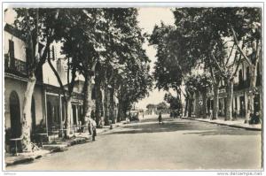 ALGERIE DJIDJELLI Rue Vivonne CPSM Petite animation