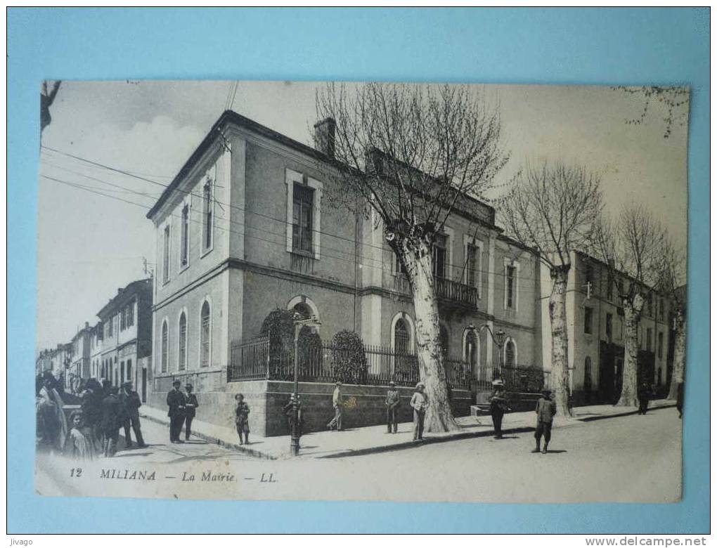 MILIANA    La  MAIRIE  -  Carte animée