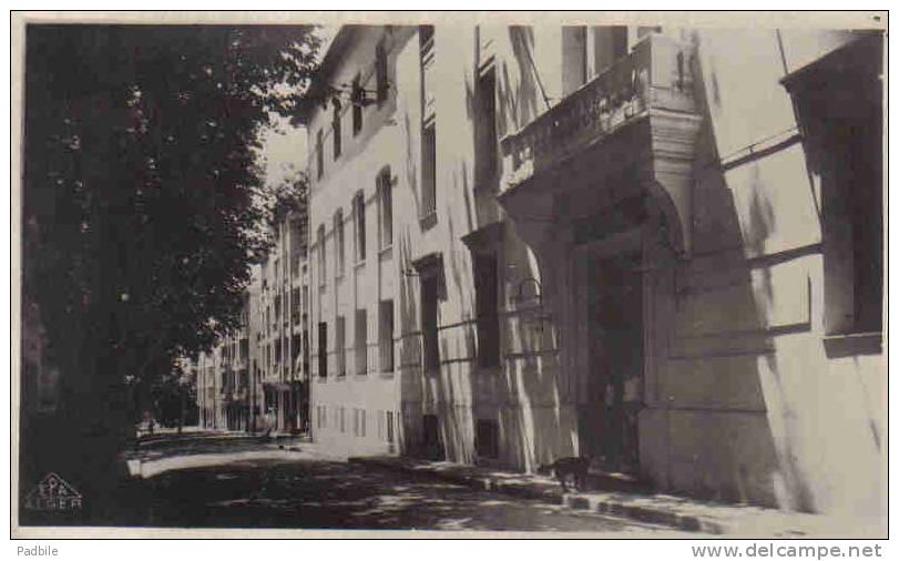 carte postale Afrique Algérie Miliana collège Moderne de Garçons trés beau plan