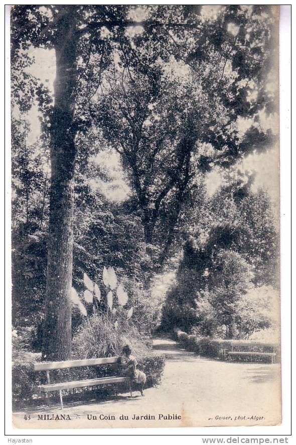 MILIANA - UN COIN DU JARDIN PUBLIC