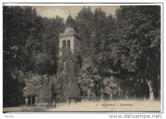 N°7405 -cpa Miliana -l'horloge-