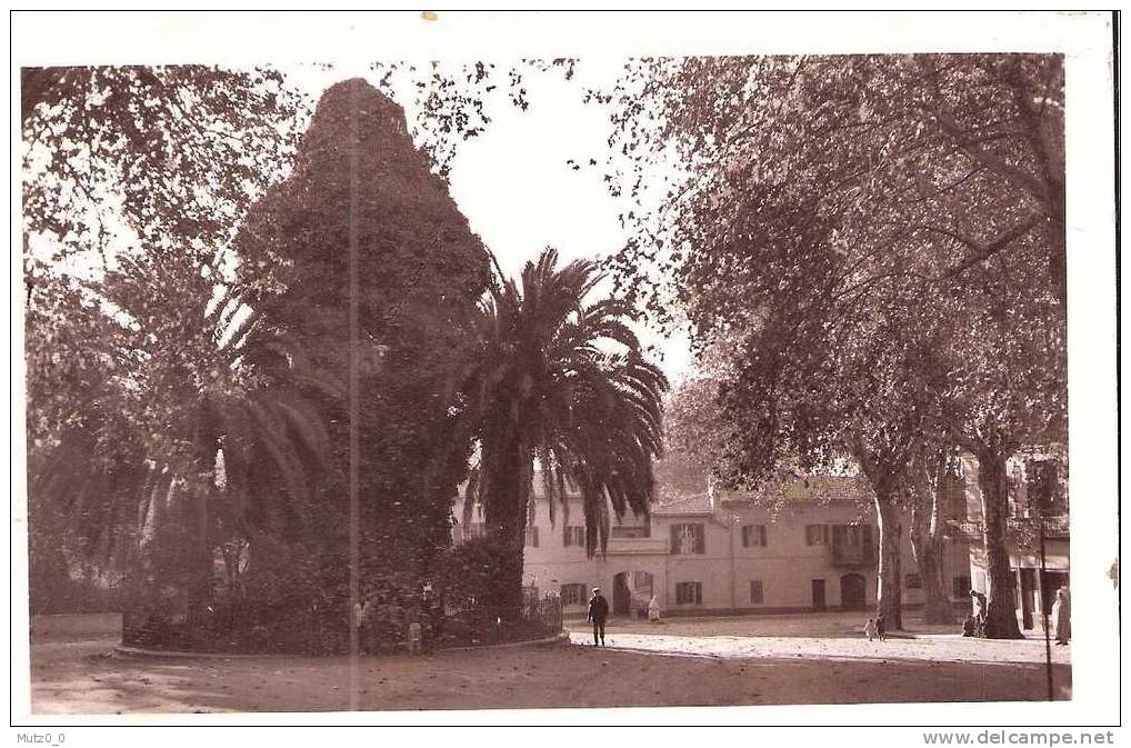 AK 24  Miliana - Place Carnot et la subdivision um 1940-50