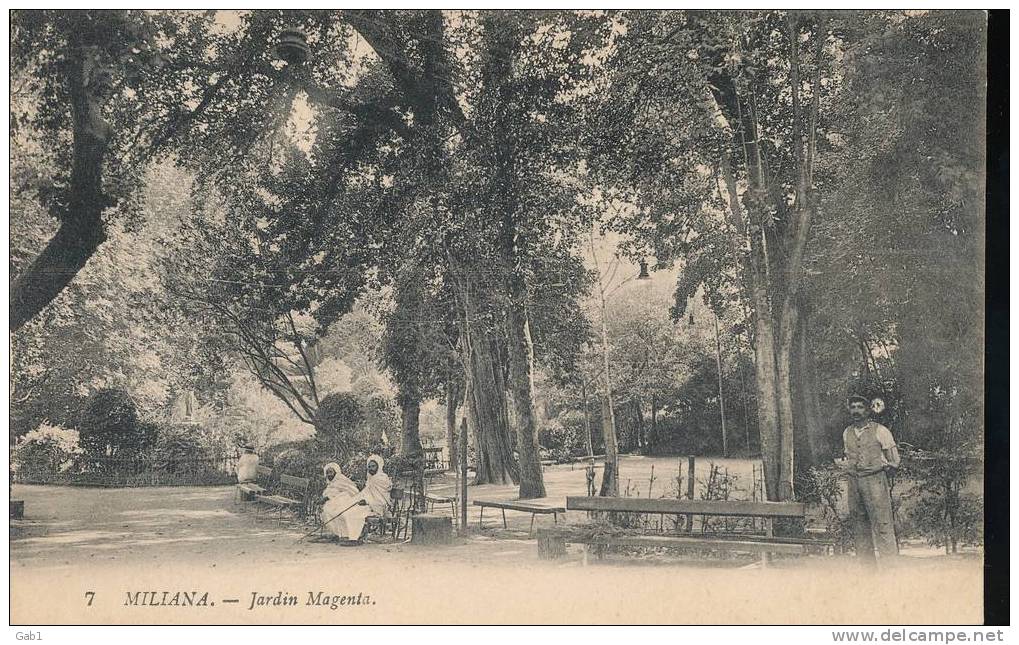 Algerie --- Miliana .. Jardin Magenta