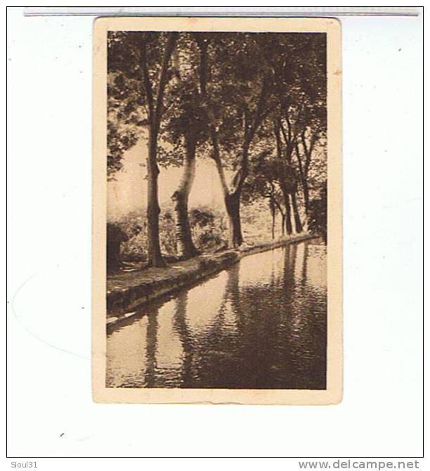 MILIANA  - LES   BELLE   SOURCES      BE