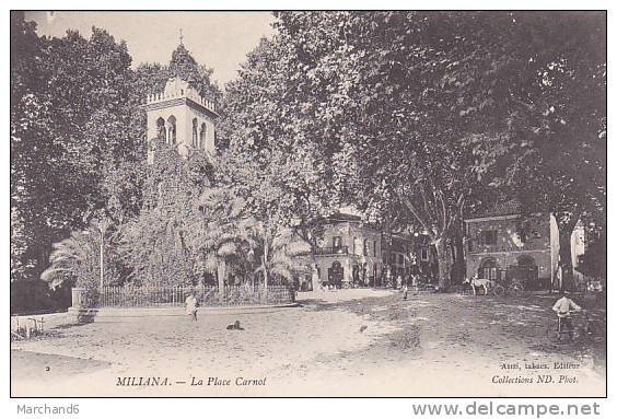 ALGERIE.MILIANA.LA PLACE CARNOT