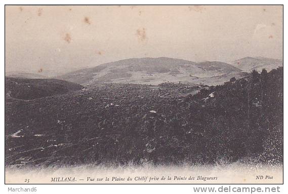 ALGERIE.MILIANA.VUE SUR LA PLAINE DU CHELIF PRISEDE LA POINTE DES BLAGUEURS