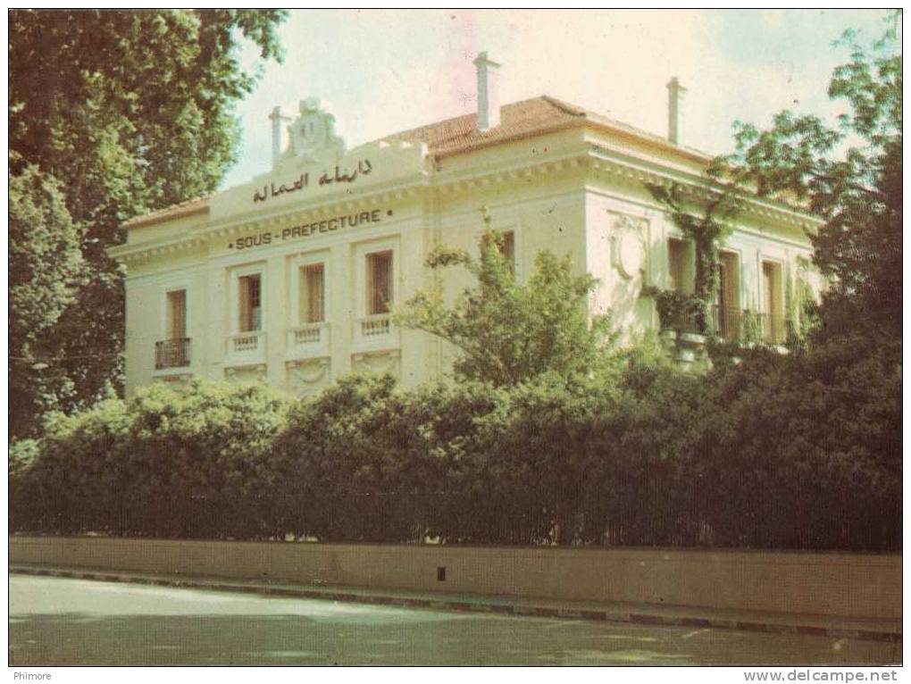 Ph- CPSM Miliana (Algérie) La Daïra, Sous-Préfecture