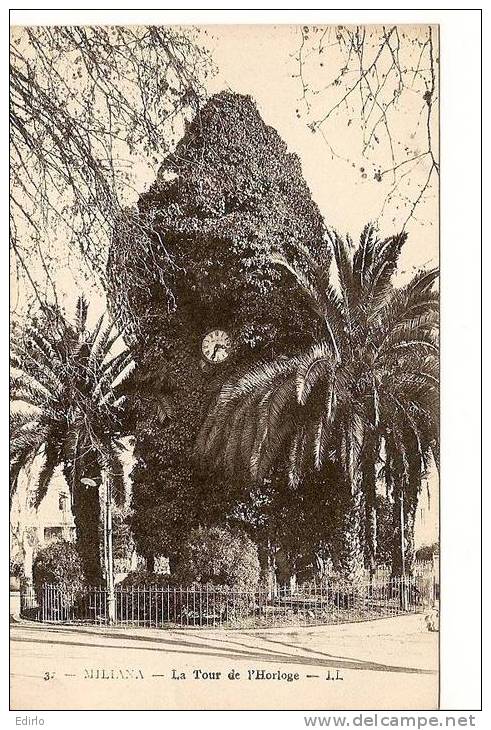 - Algérie - MILIANA - la tour de l'horloige - carte neuve excellent état