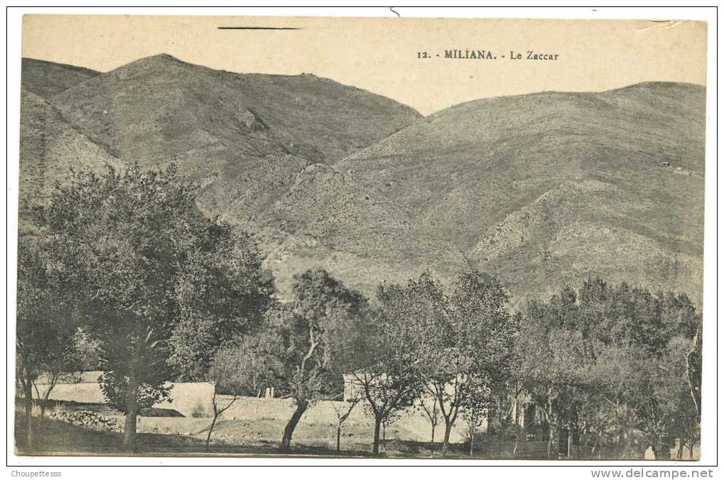 ALGERIE  - MILIANA  N° 12  - le  ZACCAR