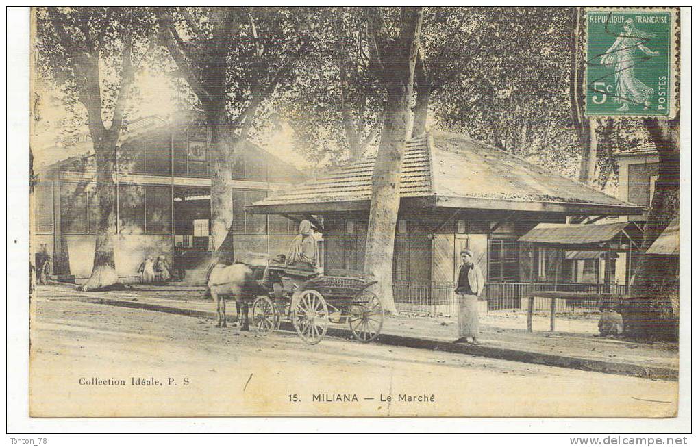 MILIANA  -  LE MARCHÉ
